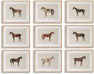 LOARTVE 9Pcs Vintage Horse Canvas W