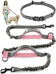 Exquisite Hands Free Dog Leash for Large Dogs | Dog Waist Leash | Dog Running Leash | Laisse Main Libre Pour Chien | Bungee Dog Leash | Dog Walking Belt | Jogging Canicross Belt | Dog Hiking Gear