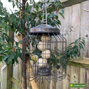 Garden Locker Squirrel Proof Suet Bird Feeder – Large Metal Cage, Weather-Resistant, 41cm Hanging