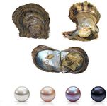 4PC Saltwater Pearl Cultured Love Wish Akoya PearlOyster with Pearl Inside for Pearl Gift Fun for Children Family Friends PartyOyster with Pearls Inside(6-8mm, 4PC)