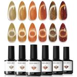 Modelones Cat Eye Gel Nail Polish, 6 Colors Fall Holographic 9D Cat Eye Glitter Gel Polish Orange Yellow Gold Brown Nail Gel Polish with Magnet Soak Off Led Nail Gel DIY Salon