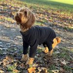 Warm Dog Fleece – Available in Five Sizes & Five Colours (Black, Medium (Four Legged))