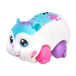 Little Live Pets 26370 Lil Single Pack: Sprinkz | Interactive Toy Scurries, Sounds, and Moves Like a Real Hamster. Soft Flocked. Batteries Included. for Kids 4+, Blue