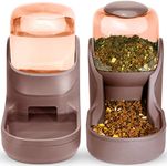 Pets Feeder Set Dog Feeder Cats Fee