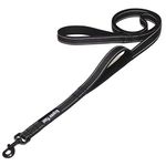 Double Handle Leash