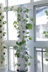 VegTubes Indoor Hydroponic Kit For Home, Aeroponic Tower Planter, Garden For Home, Vertical Planting System