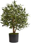 Nearly Natural 29in. Olive Artificial Tree