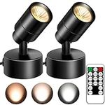 FZWLE 2 Pack Dimmable Spot Lights I