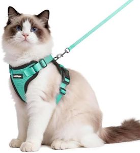 rabbitgoo Cat Harness and Leash for Walking, Escape Proof Soft Adjustable Vest Harnesses for Cats, Easy Control Breathable Reflective Strips Jacket, Emerald, M