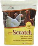 Manna Pro Ultimate Scratch Chicken 