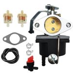 LIZAPUS Carburetor Carb Compatible with Coleman Powermate 5500 watt Generator with 11HP Tecumseh Engine