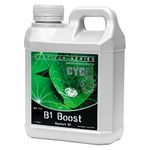 Vitamin B1 For Plants