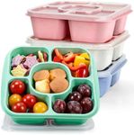 Caperci Original Bento Snack Box and Lunchable Containers for Kids & Adults - 5 Compartment Food Storage Containers for Snacks and Meals, Wheat Straw, BPA-Free, Set of 4 (Multicolor & Clear Lids)