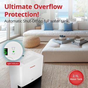 Inventor Fresh 12L Dehumidifier – Compact Home Moisture Removal