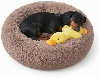 Whiskers & Friends Small Dog Bed Washable, Fluffy Orthopedic Dog Bed Small, Puppy Calming Beds, Large Cat Beds for Indoor Cats - Perfect for Pets Under 25 Pounds - Camel