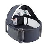 Pamo babe Portable Bassinet and Pla