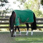 WeatherBeeta ComFiTec Prelim Standard Neck Medium Horse Blanket, Dark Green/Red/White, 81"