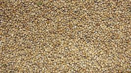 Jalpur - Whole Millet Seeds (Bajri Whole) - 2kg