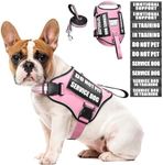 Service Dog Harness and Leash Set, 
