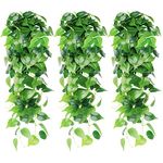 Dremisland 3pcs Artificial Hanging Plants-3.6ft Fake Ivy Vine Scindapsus Leaves Vine Greenery Hanging Plants for Wall Home Room Wedding Party Garden Indoor Outdoor Decoration(Scindapsus)