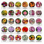 Afflorance Flower Seeds : Plant Seeds For Home Garden Flowers Combo of 30 Packet of Seeds Winter, Summer & Spring & All Season Garden Flower Seeds Pack