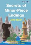 Secrets of Minor-Piece Endings (Sec