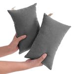 NTBAY 2 Pack Tiny Pillows, 11"x7" Microfiber Mini Pillows for Travel, Pets, Soft Machine Washable Small Pillows for Neck, Wrist, Lumbar and Knee, Dark Grey