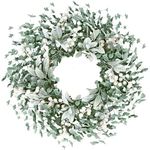 Sggvecsy Artificial Greenery Leaves Wreath for Front Door 22 Inch Greenery Boxwood Wreath Flocked Lambs Ear Wreath with White Berries Spring Summer Wreath for Farmhouse Wall Home Indoor Outdoor Decor