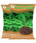 Iagrifarm Shevri Seed - 2 Kg - Fodder Seed for Cultivation