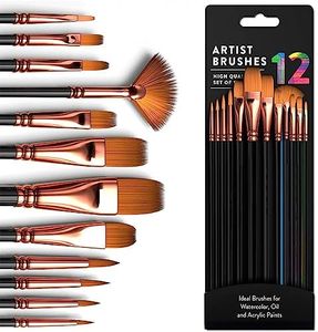 AnnuoYi Paint Brushes Set，Oil Paint Brushes，Watercolor Brush Set，Suitable for Acrylic Painting/Oil/Watercolor/Art Painting/Face Painting/Detailing/Model Craft Art Painting (12 Pcs)