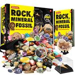 Dr. Daz Rock Fossil Mineral Collection Activity Kit Includes 250+ Real Specimens Ultimate Display Case Fossils Gems Rocks Genuine Minerals for Kids Great Science Gift for Boys Girls