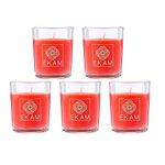 EKAM® Cinnamon Scented Candle, Shot Glass Collection, 40 Grams Each - Pack of 5 | Ideal for Home Décor & Gifting | 10 Hours Burn Time