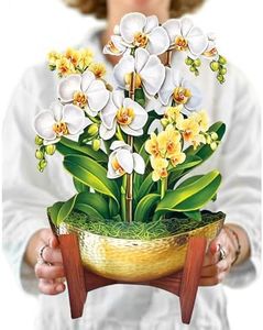 Freshcut Paper Pop Up Cards, Paper Flower Bouquet 3D Popup Greeting Cards with Note Card & Envelope, Birthday Card, Anniversary Card, Get Well Gifts for Women, 12" Serenity Orchid