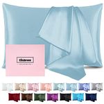 Silk Pillowcase for Hair and Skin Mulberry Silk Pillowcase Soft Breathable Smooth Both Sided Natural Silk Pillowcase with Zipper Beauty Sleep Silk Pillow Case 1 Pack for Gift(Standard,Baby Blue)