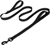 Joytale Dog Leash Heavy Duty for La