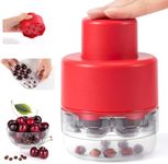 SCHVUBENR 7-IN-1 Large Cherry Pitte