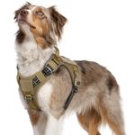 rabbitgoo Dog Harness No Pull, Military Dog Harness Medium Breed with Handle & Molle, Easy Control Service Dog Vest Harness Training Walking, Adjustable Reflective Tactical Pet Harness, Brown, M