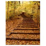 Trademark Fine Art Fall Stairway by Kurt Shaffer Canvas Wall Art, 18x24-Inch