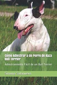 Cómo Adiestrar a Un Perro de Raza Bull Terrier: Adiestramiento Fácil de un Bull Terrier