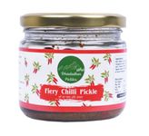 Dhauladhar Pickles 300g Homemade Traditional Fiery Chilli Pickle | 100% Vegetarian Tasty Ready to Eat Pickles | No Added Preservatives & Chemical Free Pickle Jar