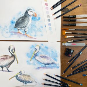 Derwent Watercolour Pencils Set – 24 Vibrant Artist Colors