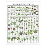 Pop Chart,The Horticultural Chart of Houseplants,16"x20" Art Poster,Botanical Reference Print of Over 100 Potted Plants,Cottagecore Wall Decor for Living Room, and Dining Room,100% Made in the USA