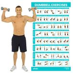 Vive Dumbbell Exercise Poster - Home Gym Workout for Upper, Lower, Full Body - Laminated Bodyweight Chart for Back, Arm, Core and Legs - Free Weight Building Guide for Men, Women, Elderly (30" x 17")