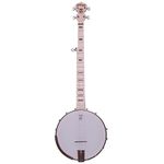 Deering Goodtime 5-String Banjo