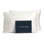 Fishers Finery 25mm 100% Pure Mulberry Silk Pillowcase Set (White Stripe Queen 2 Pack)
