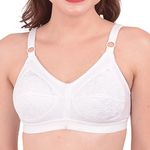 Large Size Bra