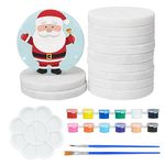 Hisredsun 16pcs white Round Painting Pebbles, Rock Painting Kit Large Smooth Pebbles for Painting,Painting Kit with 12 Color Acrylic Paints and 2pcs Paint Brushes, 2.48" Diameter