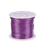 BENECREAT 12 17 18 Gauge Aluminum Wire (12 Gauge, 100FT) Anodized Jewelry Crafts Beading Floral Colored Aluminum Craft Wire - Purple