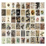 CodersParadise Pack of 54 Aesthetic Vintage Wall Collage Kit Posters - 4 x 6 Inches Poster for Wall Decoration - Wall Art For Bedroom, Office, Living room, Dorm room - Glue Dots Included