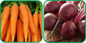 Aero Seeds Beetroot (100 Seeds) And English Carrot (100 Seeds) Vegetable Seeds Pack